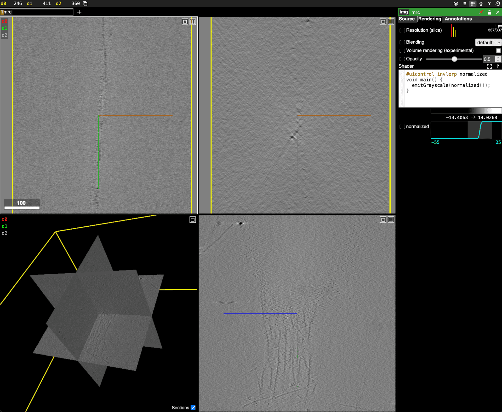 Example of Neuroglancer visualizing EMPIAR-10548 dataset.