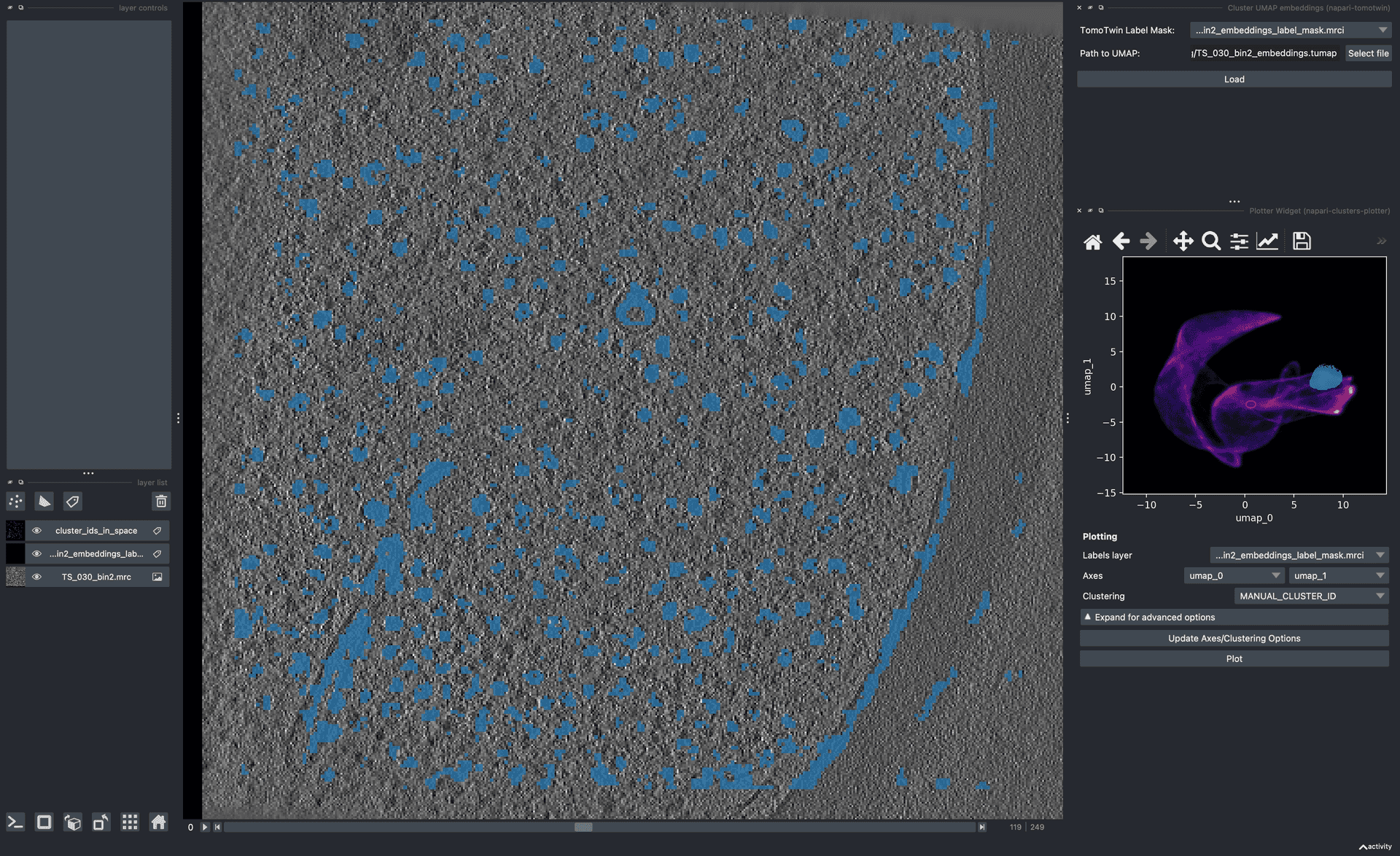 Cover image for TomoTwin tutorial 2 applied to data from cryoet-data-portal TS_030 from doi:10.1038/s41592-022-01746-2. The image shows a highlighted region of embedding space that covers some particles in the tomogram.